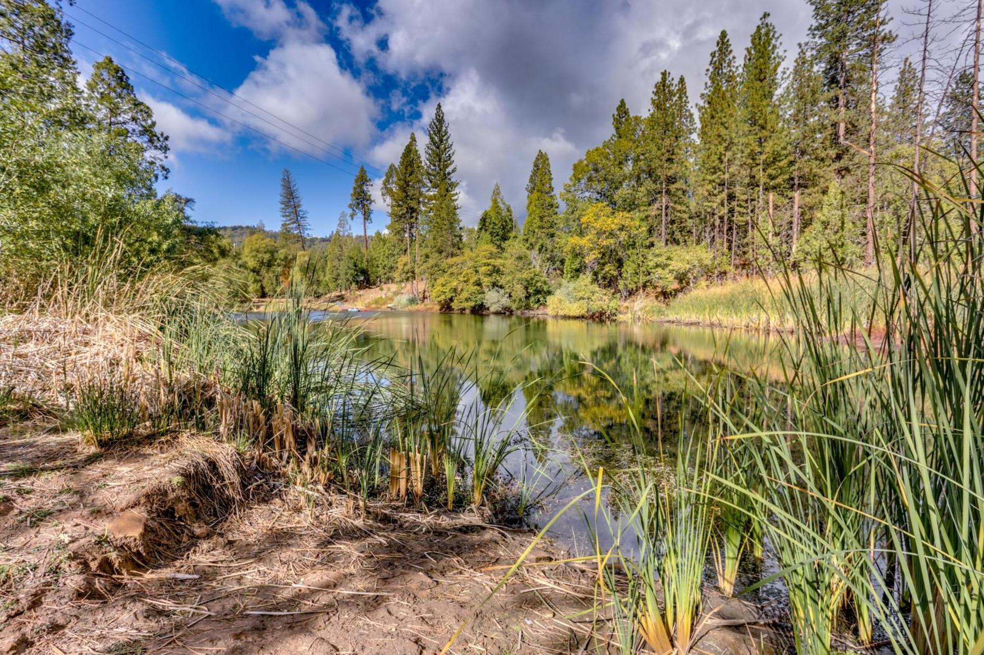 Pet-Friendly Escape With Game Room And Fire Pit! North Fork Extérieur photo